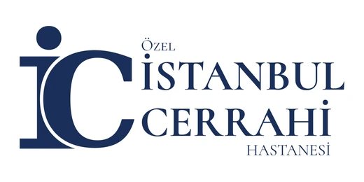 Özel İstanbul Cerrahi Hastanesi logo
